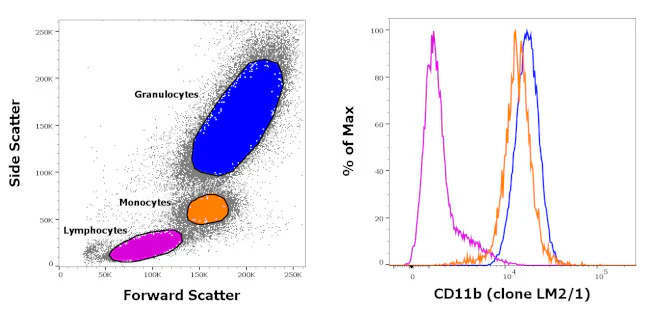 CD11b Monoclonal Antibody (LM2/1), FITC, eBioscience