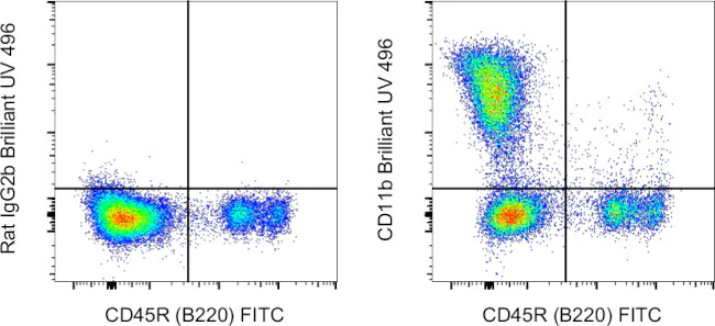 CD11b Monoclonal Antibody (M1/70), Brilliant Ultra Violet 496, eBioscience