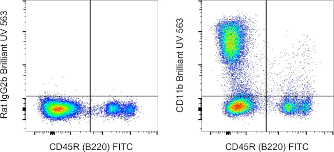 CD11b Monoclonal Antibody (M1/70), Brilliant Ultra Violet™ 563, eBioscience™