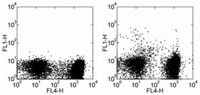 CD11c Monoclonal Antibody (N418), Alexa Fluor 488, eBioscience