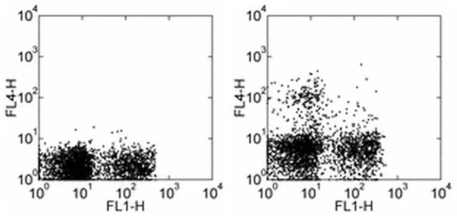 CD11c Monoclonal Antibody (N418), Alexa Fluor 700, eBioscience
