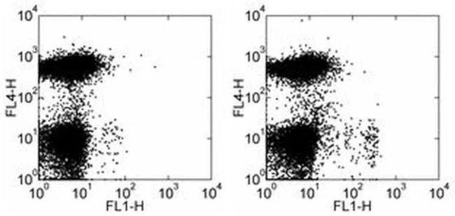 CD11c Monoclonal Antibody (N418), Functional Grade, eBioscience