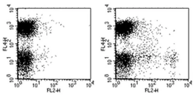 CD11c Monoclonal Antibody (N418), PE, eBioscience