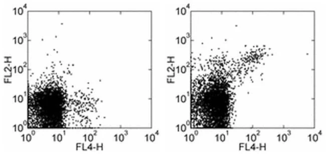 CD122 Monoclonal Antibody (TM-b1 (TM-beta1)), Biotin, eBioscience