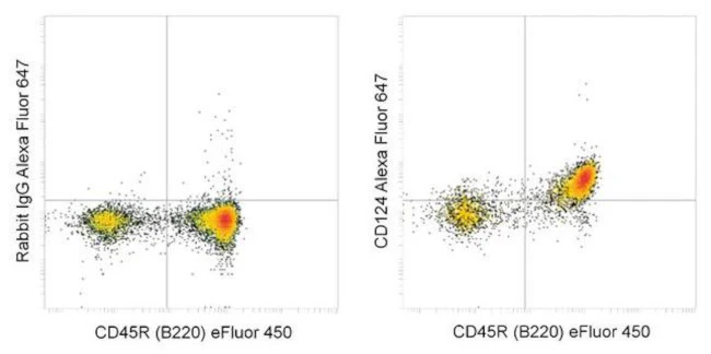 CD124 Recombinant Rabbit Monoclonal Antibody (Astra-1), Alexa Fluor 647, eBioscience