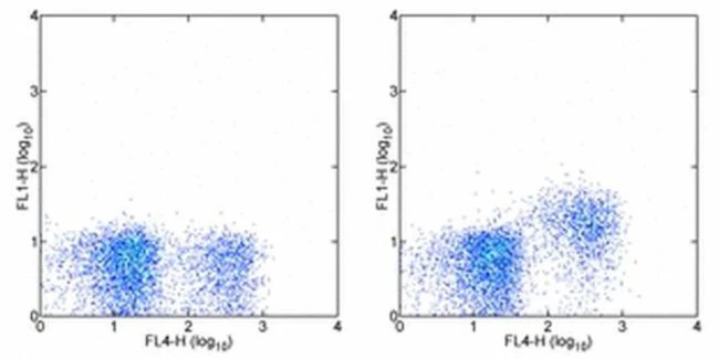 CD127 Monoclonal Antibody (A7R34), Alexa Fluor 488, eBioscience