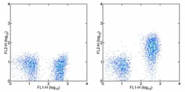 CD127 Monoclonal Antibody (eBioRDR5), PE, eBioscience