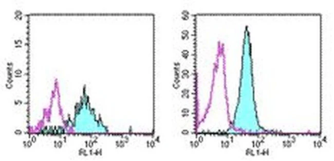CD13 Monoclonal Antibody (WM-15 (WM15)), eBioscience