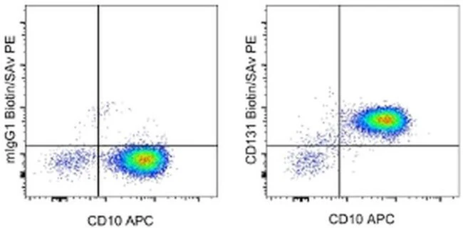 CD131 Monoclonal Antibody (1C1), Biotin, eBioscience
