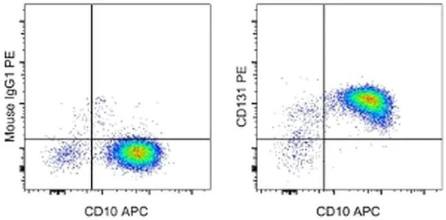 CD131 Monoclonal Antibody (1C1), PE, eBioscience