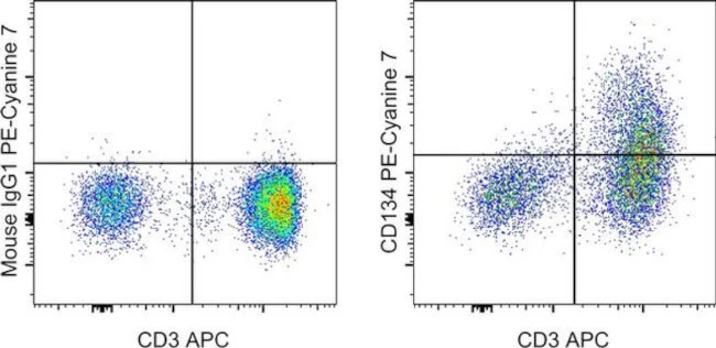 CD134 (OX40) Monoclonal Antibody (ACT35 (ACT-35)), PE-Cyanine7, eBioscience