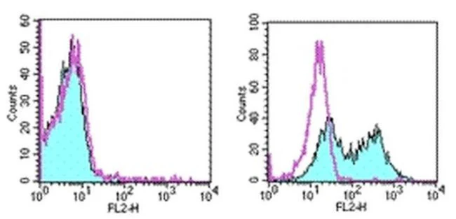 CD137 (4-1BB) Monoclonal Antibody (17B5), PE, eBioscience