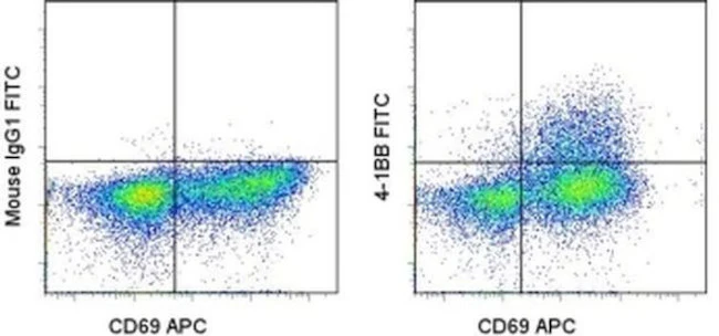 CD137 (4-1BB) Monoclonal Antibody (4B4 (4B4-1)), FITC, eBioscience