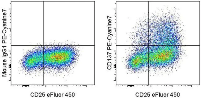 CD137 (4-1BB) Monoclonal Antibody (4B4 (4B4-1)), PE-Cyanine7, eBioscience