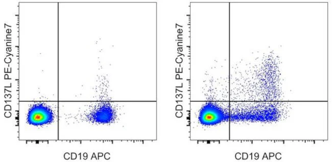 CD137 Ligand (4-1BB Ligand) Monoclonal Antibody (4H3), PE-Cyanine7, eBioscience