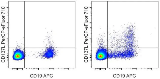 CD137 Ligand (4-1BB Ligand) Monoclonal Antibody (4H3), PerCP-eFluor 710, eBioscience