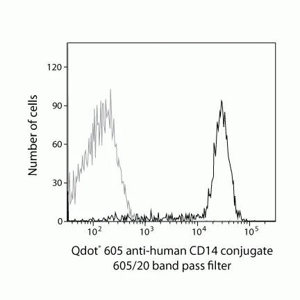 CD14 Monoclonal Antibody (TüK4), Qdot 605