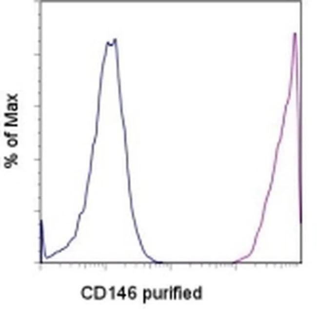CD146 Monoclonal Antibody (P1H12), eBioscience