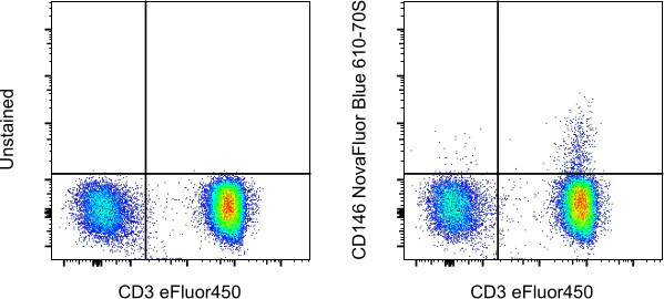 CD146 Monoclonal Antibody (P1H12), NovaFluor Blue 610-70S, eBioscience