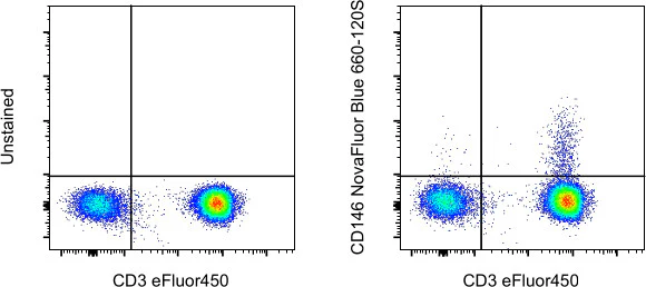 CD146 Monoclonal Antibody (P1H12), NovaFluor™ Blue 660-120S