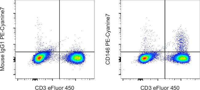 CD146 Monoclonal Antibody (P1H12), PE-Cyanine7, eBioscience