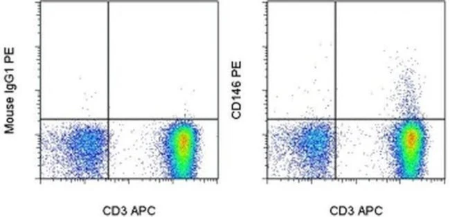CD146 Monoclonal Antibody (P1H12), PE, eBioscience