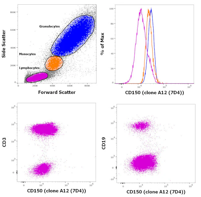 CD150 Monoclonal Antibody (A12 (7D4)), FITC, eBioscience