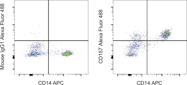 CD157 Monoclonal Antibody (eBioSY11B5 (SY11B5)), Alexa Fluor 488, eBioscience