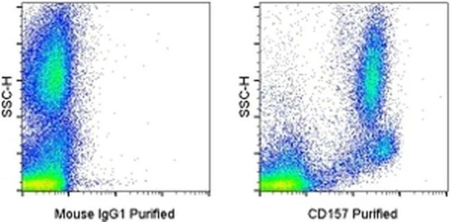 CD157 Monoclonal Antibody (eBioSY11B5 (SY11B5)), eBioscience