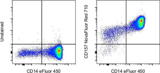 CD157 Monoclonal Antibody (eBioSY11B5 (SY11B5)), NovaFluor™ Red 710