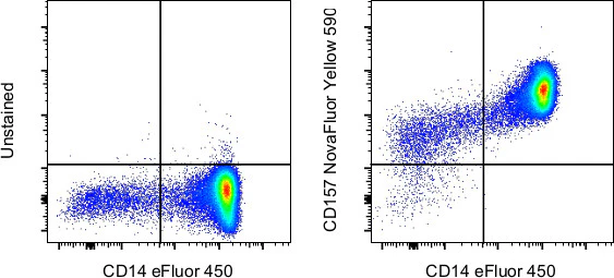 CD157 Monoclonal Antibody (eBioSY11B5 (SY11B5)), NovaFluor™ Yellow 590