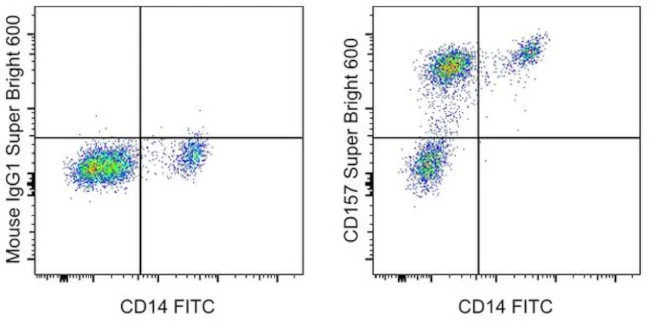 CD157 Monoclonal Antibody (eBioSY11B5 (SY11B5)), Super Bright 600, eBioscience