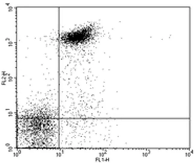 CD16/CD32 Monoclonal Antibody (93), FITC, eBioscience