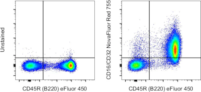 CD16/CD32 Monoclonal Antibody (93), NovaFluor™ Red 755