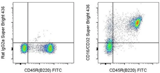CD16/CD32 Monoclonal Antibody (93), Super Bright 436, eBioscience