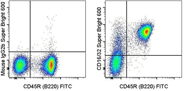 CD16/CD32 Monoclonal Antibody (93), Super Bright 600, eBioscience