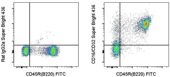 CD16/CD32 Monoclonal Antibody (93), Super Bright™ 436, eBioscience™