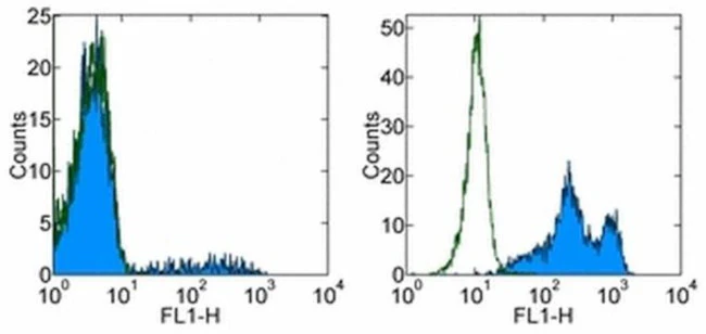 CD16 Monoclonal Antibody (eBioCB16 (CB16)), eBioscience
