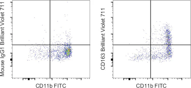 CD163 Monoclonal Antibody (eBioGHI/61 (GHI/61)), Brilliant Violet 711, eBioscience