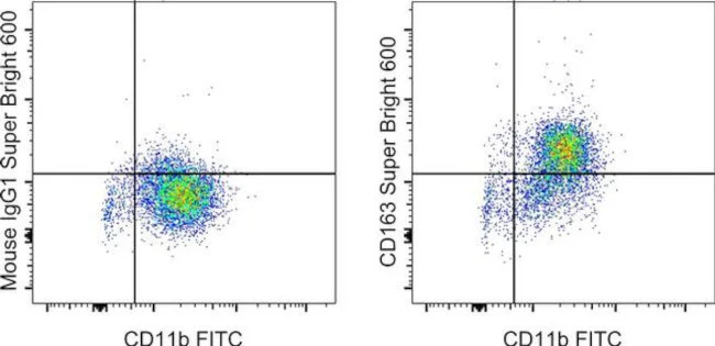 CD163 Monoclonal Antibody (eBioGHI/61 (GHI/61)), Super Bright 600, eBioscience