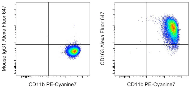 CD163 Monoclonal Antibody (MAC 2-158), Alexa Fluor 647, eBioscience