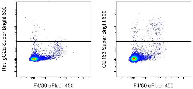 CD163 Monoclonal Antibody (TNKUPJ), Super Bright 600, eBioscience