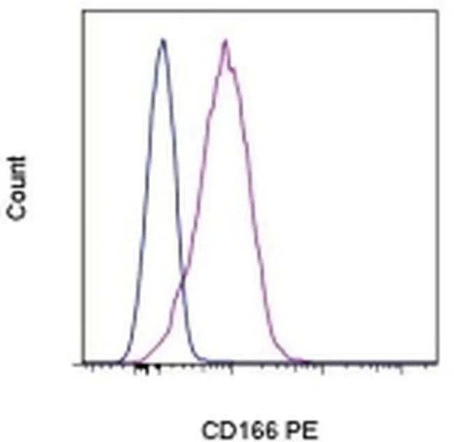 CD166 (ALCAM) Monoclonal Antibody (3A6), PE, eBioscience