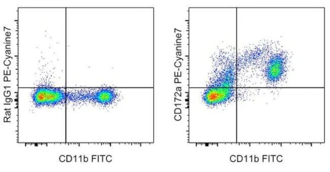 CD172a (SIRP alpha) Monoclonal Antibody (P84), PE-Cyanine7, eBioscience