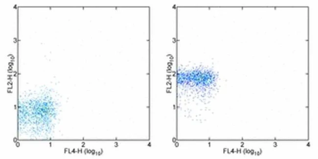 CD181 (CXCR1) Monoclonal Antibody (eBio8F1-1-4 (8F1-1-4)), eBioscience