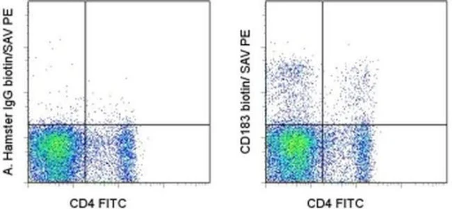 CD183 (CXCR3) Monoclonal Antibody (CXCR3-173), Biotin, eBioscience