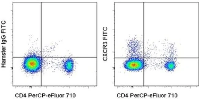 CD183 (CXCR3) Monoclonal Antibody (CXCR3-173), FITC, eBioscience