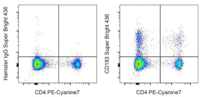 CD183 (CXCR3) Monoclonal Antibody (CXCR3-173), Super Bright 436, eBioscience