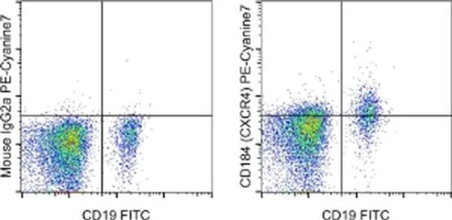 CD184 (CXCR4) Monoclonal Antibody (12G5), PE-Cyanine7, eBioscience