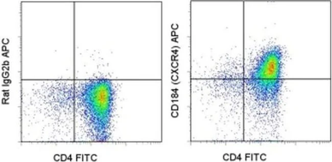CD184 (CXCR4) Monoclonal Antibody (2B11), APC, eBioscience